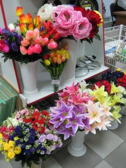 IMG_5890.JPG